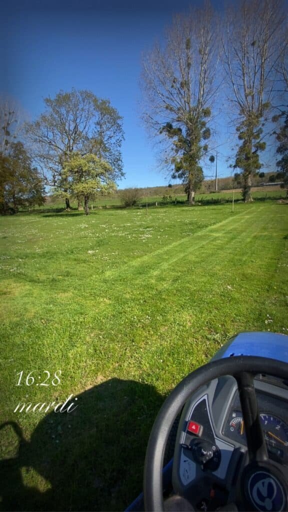 Entretien de pelouse et tonte à Marseille