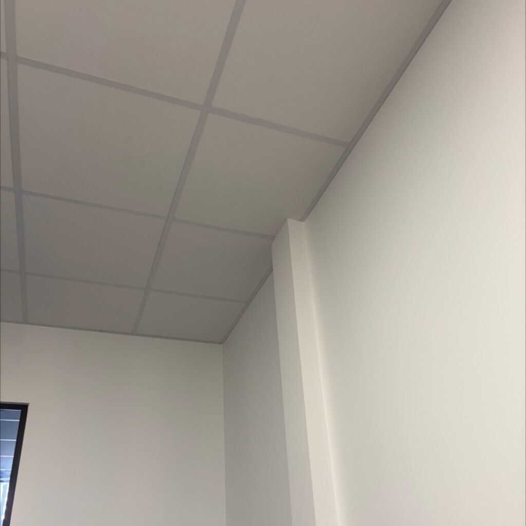 Installation de faux plafond et peintures à Perpignan
