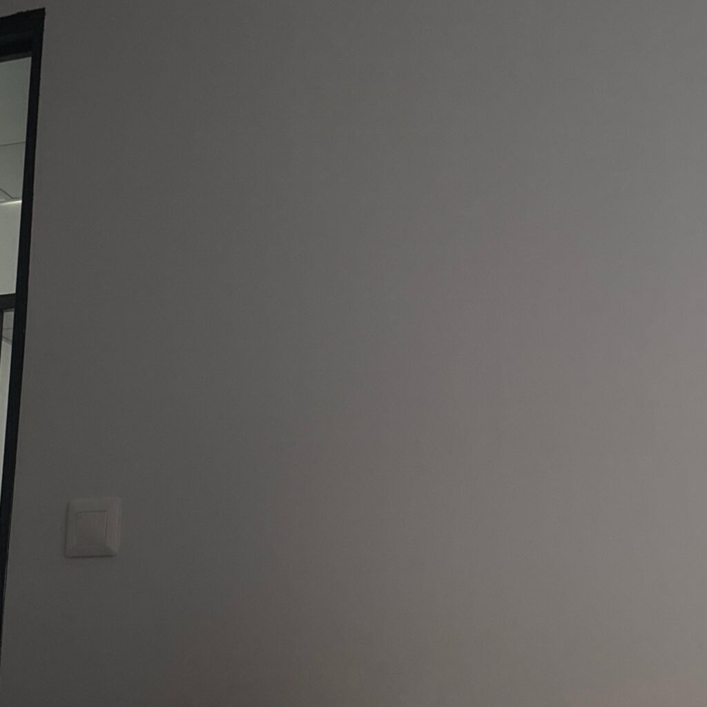 Rénovation de mur et finition à Lille
