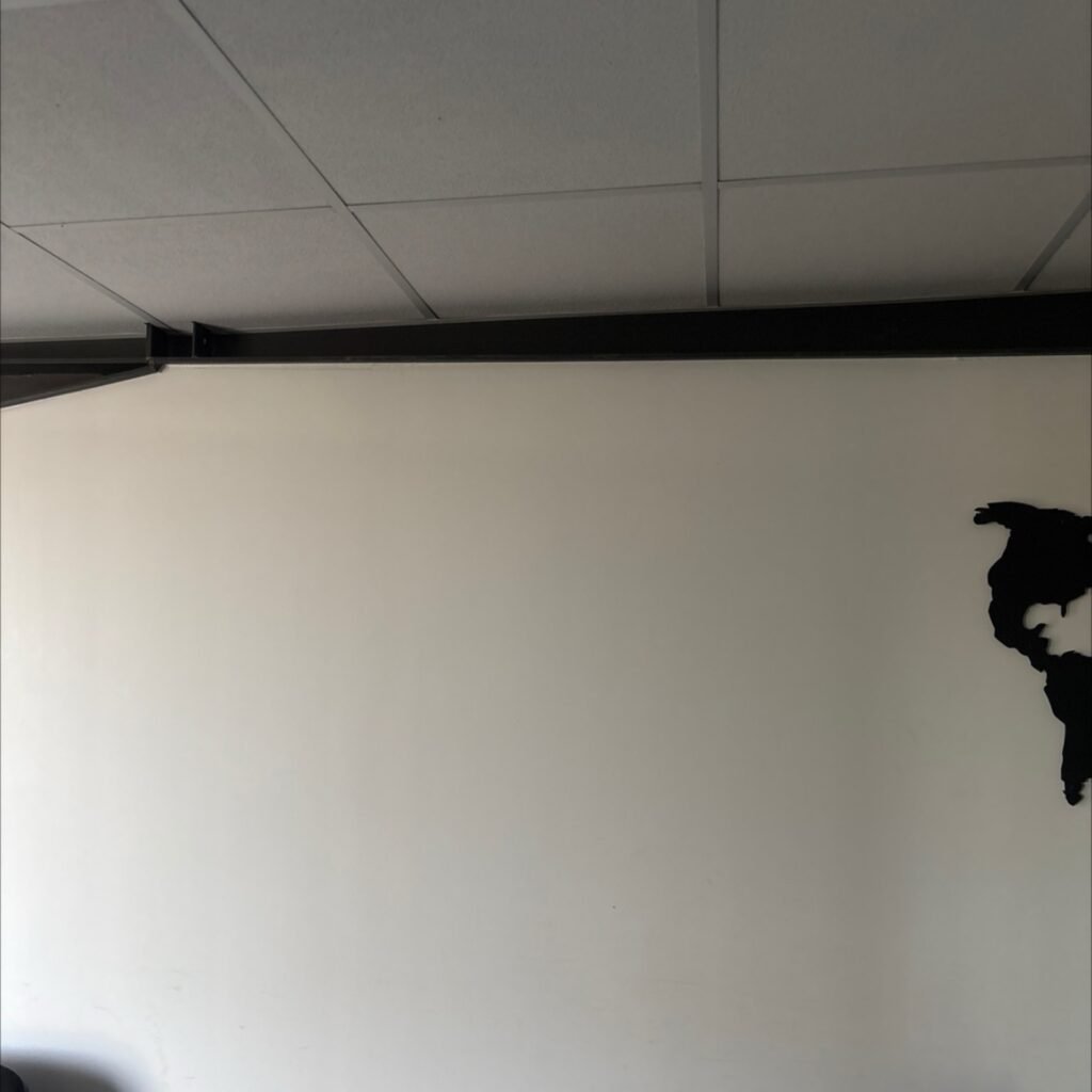 Rénovation de plafond et murs à Lille